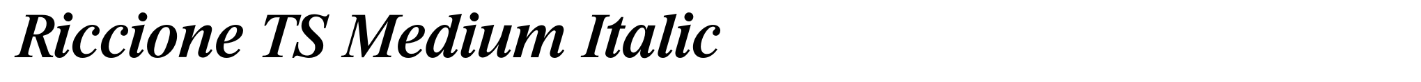 Riccione TS Medium Italic image